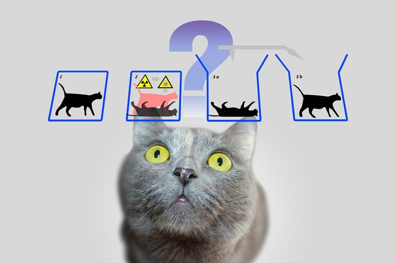 Quantum Simulation